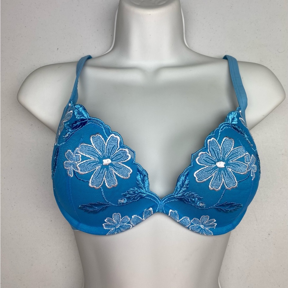 NWOT LS BLU Plunge, 34D  *P1018
